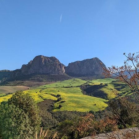 Cortijo Sylvestre Bed & Breakfast Riogordo Bagian luar foto