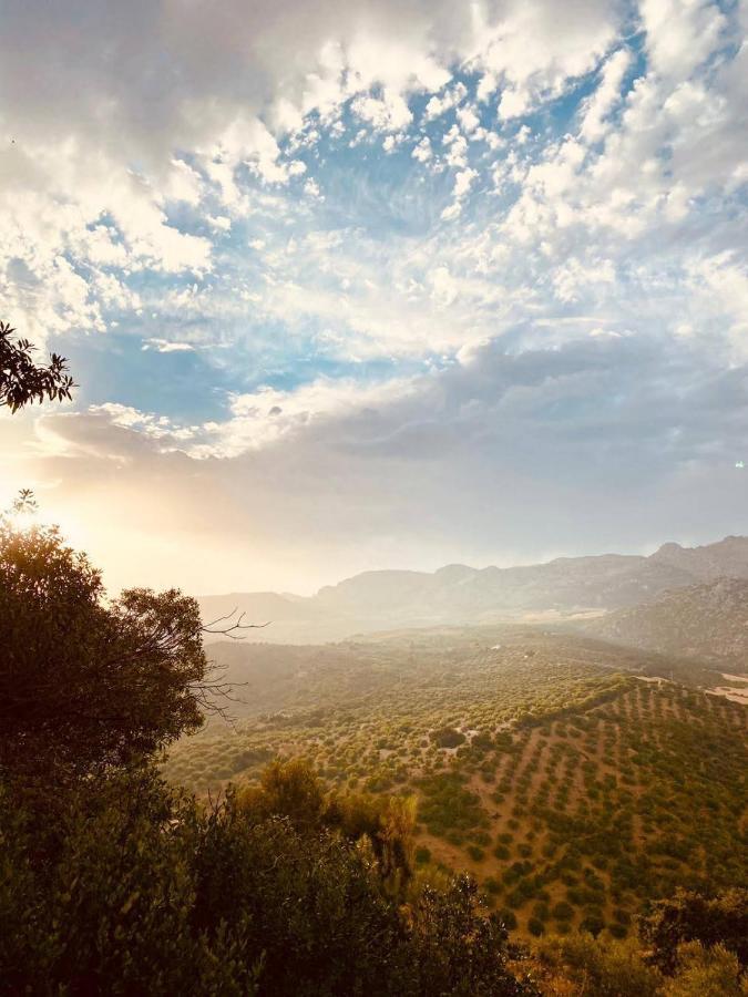 Cortijo Sylvestre Bed & Breakfast Riogordo Bagian luar foto